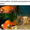 ���� ����, ����������, 46 ��� - ��������� 12 ����� 2018 � ������ ���� ����������