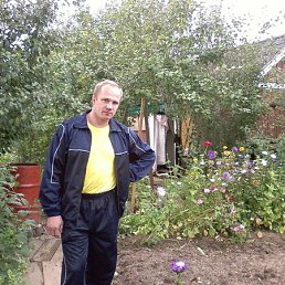 �������, �����, 51 ���