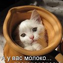���� Milena, ������ - ��������� 2 ��� 2018 � ������ ������ ��������