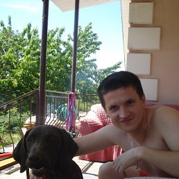 �����, ����