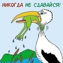 ���� �������������, �������� - ��������� 9 ���� 2018 � ������ ������ ��������