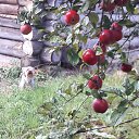 ���� �����, ������ - ��������� 10 ������� 2017