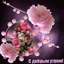 ���� Olga, �������, 58 ��� - ��������� 17 ������ 2018 � ������ ������ ��������