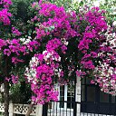 ���� ������, ������ - ��������� 25 ���� 2018 � ������ ���� ����������