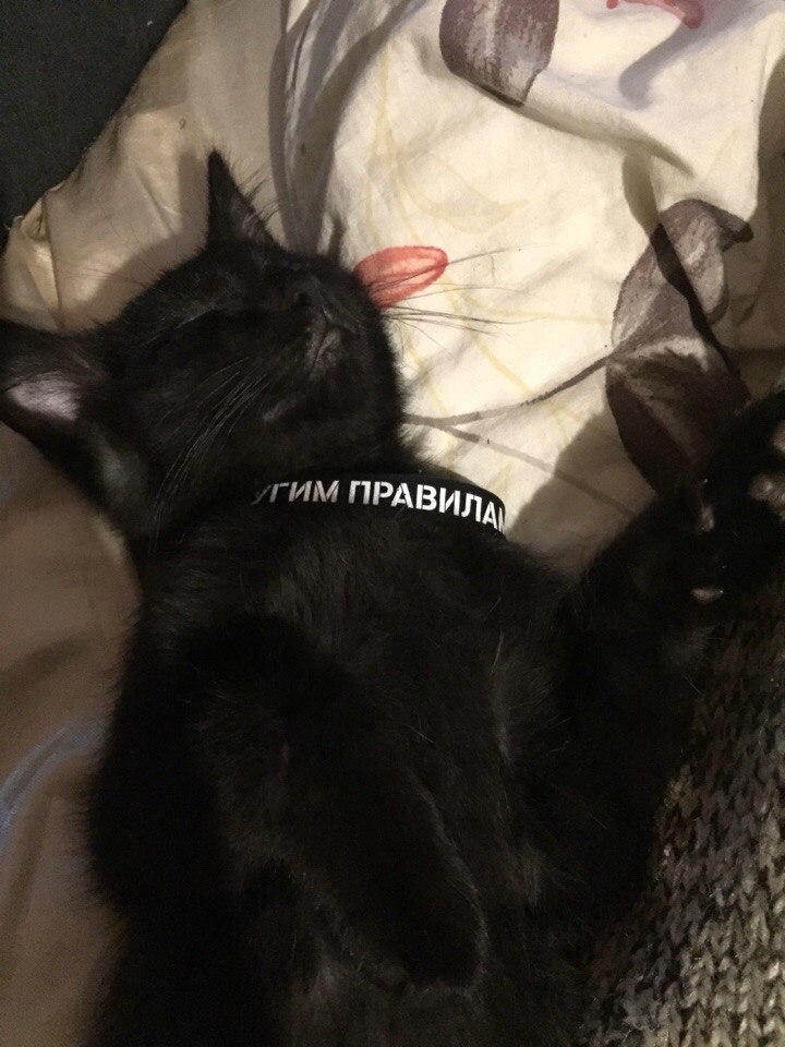 #_.          ..    ... - 5