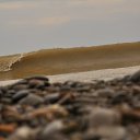 ���� �������, �����������, 51 ��� - ��������� 22 ������ 2017 � ������ ���� ����������