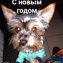 ���� ��������, �����-���������, 68 ��� - ��������� 30 ������� 2017 � ������ ������ ��������