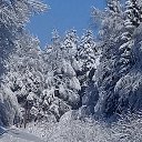 ���� ������, ��������� - ��������� 29 ������ 2018 � ������ ���� ����������