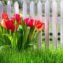 ���� Millada, ������ - ��������� 16 ������� 2018 � ������ ��������