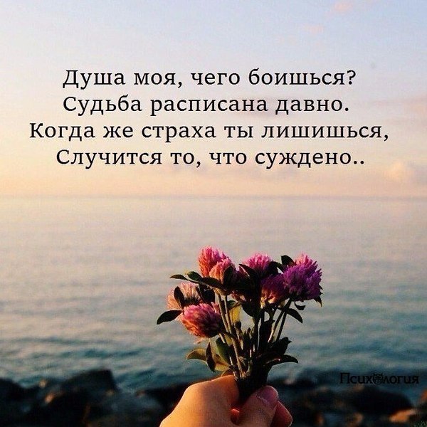 ��������� - 5 ����� 2018 � 18:51 - 73