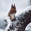 ���� ������ - ������� ����, ������ - ��������� 9 ������� 2018 � ������ ���� ����������