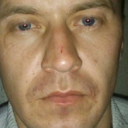 �������, ������, 39 ���