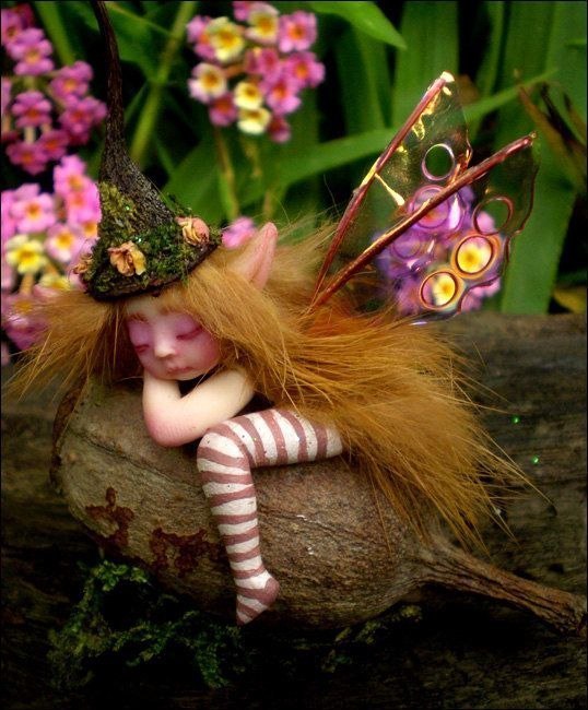 Celia Anne