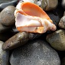 ���� ���������, ����, 47 ��� - ��������� 18 ������� 2018 � ������ ���� ����������