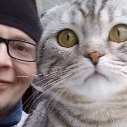 �����, ������