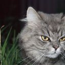 ���� Mishka, ������ - ��������� 26 ���� 2018 � ������ ���� �����