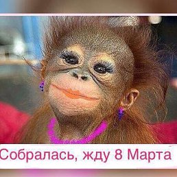 ���������, ��������