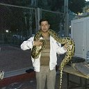 ���� Hamid, �������, 33 ���� - ��������� 14 ����� 2018 � ������ ���� ����������