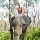 ���� ������, �����, 68 ��� - ��������� 3 ������ 2018 � ������ ���� ����������