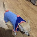 ��� ������ ��� ����� �� ������� ���� �������