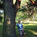 2018�.� ���������� �����. �� ������� ���� ����������