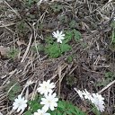 ���� �������, ������� �����, 50 ��� - ��������� 19 ��� 2018 � ������ ���� ����������