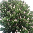 ���� S, ������ - ��������� 17 ������� 2017 � ������ ���� ����������