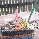 ���� ��������, ������, 51 ��� - ��������� 20 ������� 2017 � ������ ���� ����������