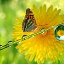 ���� Ok, ���� - ��������� 11 ������ 2018 � ������ ���� ����������