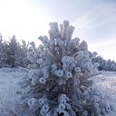 ���� ���������, �������, 52 ���� - ��������� 2 ������ 2018 � ������ �� ����� 2018 �����!!!�