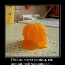 ���� �����, ����������� - ��������� 8 ������� 2017