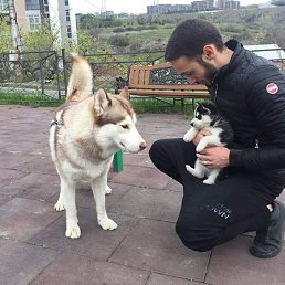 Vayo, �������, 27 ���