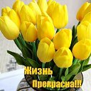 ���� ����, ����������, 61 ��� - ��������� 15 ��� 2018 � ������ ���� ����������