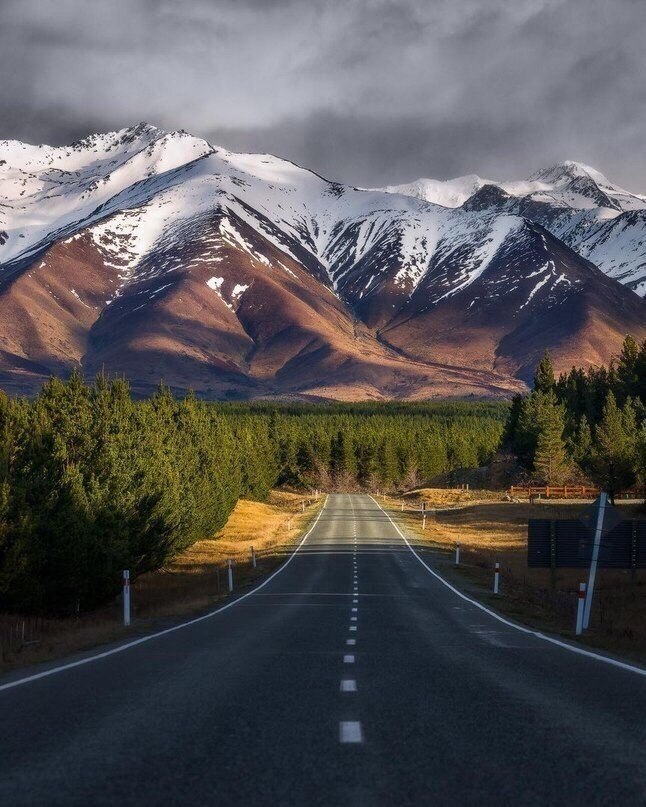 ����� ��������.