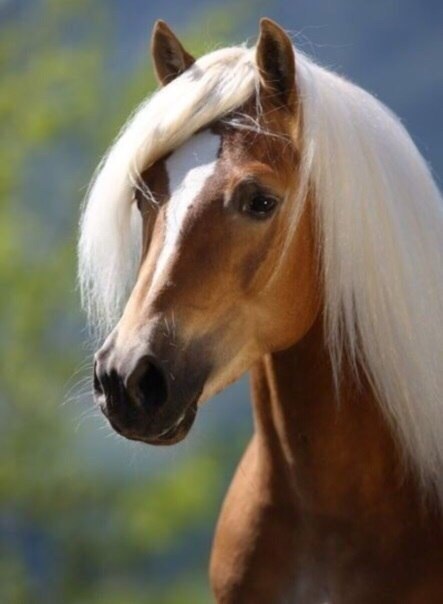 Art & Fun - 23  2018  02:56 - 4