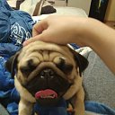 ���� Lenny, �������������-����������, 36 ��� - ��������� 22 ������ 2018 � ������ ������