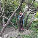 ���� �������, �����������, 62 ���� - ��������� 19 ������ 2018 � ������ ���� ����������