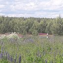 ���� �����, ������ - ��������� 28 ���� 2018 � ������ ���� ����������