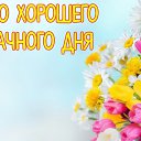 ���� �������, ���������, 71 ��� - ��������� 3 ���� 2018 � ������ ������ ��������