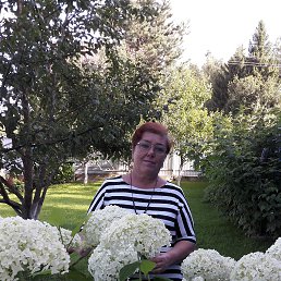 ����, ����������, 70 ���