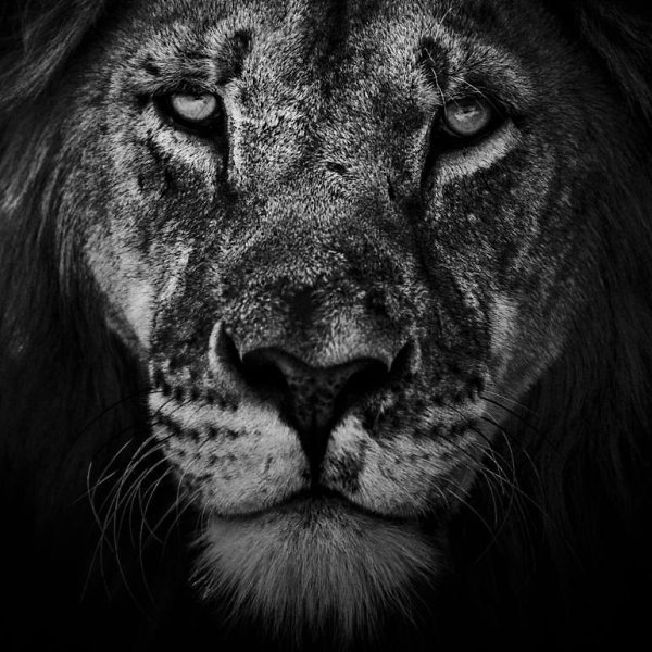  Laurent Baheux - 4