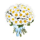 ���� �����, ���������, 56 ��� - ��������� 17 ����� 2018