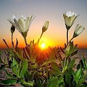 ���� �����, ������������ - ��������� 28 ����� 2018 � ������ ������ ��������