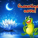 ���� ������, �������, 44 ���� - ��������� 2 ������ 2018 � ������ ���� ����������