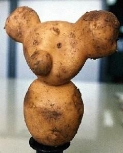  )