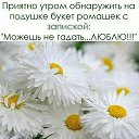 ���� Extasy, ����� - ��������� 17 ������ 2018 � ������ ��������