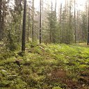  ******, , 53  -  9  2018    