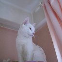 ���� Elena, �����-���������, 62 ���� - ��������� 26 ��� 2018 � ������ ������ ��������