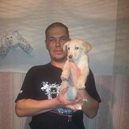 �����, ���������, 48 ���