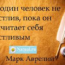 ���� ���������, ����, 43 ���� - ��������� 15 ������� 2018 � ������ ������ ��������